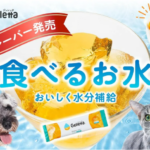 食物アレルギーを持つ犬猫のための新フレーバーを開発したい！ 水分補給に特化した犬猫用ゼリーの素「ジュレッタ」クラウドファンディング開始