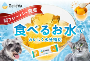 食物アレルギーを持つ犬猫のための新フレーバーを開発したい！ 水分補給に特化した犬猫用ゼリーの素「ジュレッタ」クラウドファンディング開始