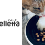 合同会社wisham／愛犬・愛猫の水分補給ゼリー「ジュレッタ」に新アソートが登場