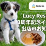 合同会社wisham／Gelletta®（ジュレッタ）をイベント会場で販売：Lucy Resort 3周年記念イベント出店のお知らせ