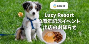 合同会社wisham／Gelletta®（ジュレッタ）をイベント会場で販売：Lucy Resort 3周年記念イベント出店のお知らせ