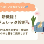 のこと。マルシェ／のこと。マルシェに新機能「無料ジュレッタ診断」が登場