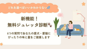 のこと。マルシェ／のこと。マルシェに新機能「無料ジュレッタ診断」が登場