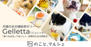 のこと。マルシェ／ペットの健康を考えた水分補給おやつ「ジュレッタ」に新作フレーバー登場。