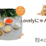 のことマルシェ／犬猫用ゼリーGelletta®（ジュレッタ）　Lovelyにゃんフェスタ出店のお知らせ