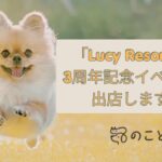 のこと。マルシェ／犬猫の水分補給ゼリー「ジュレッタ」がLucy Resort 3周年記念イベントに出店します
