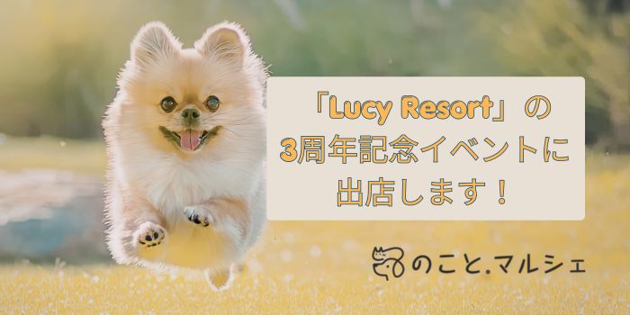 犬猫の水分補給ゼリー「ジュレッタ」がLucy Resort 3周年記念イベントに出店