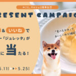 のこと。マルシェ2周年記念！犬猫用ゼリー「ジュレッタ」を7名様にプレゼント
