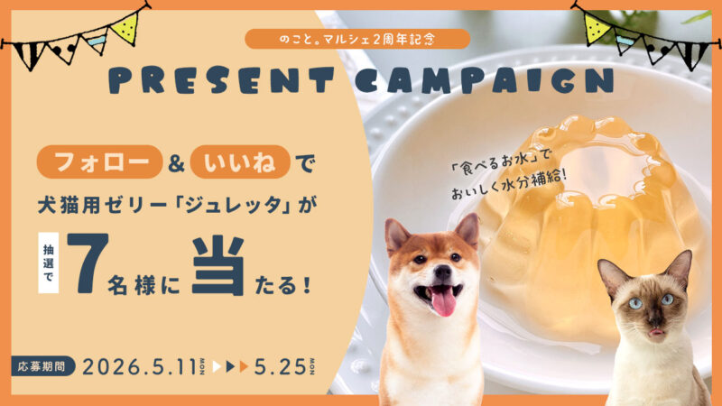 のこと。マルシェ2周年記念！犬猫用ゼリー「ジュレッタ」プレゼントキャンペーン