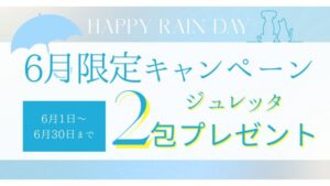 のこと。マルシェ／【6月限定キャンペーン】「のこと。マルシェ」ご注文でジュレッタ2包プレゼント！