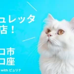 愛犬・愛猫の水分補給ゼリー「Gelletta（ジュレッタ）」が「ネコ市ネコ座＠東京 with ピュリナ」に出店