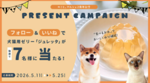 のこと。マルシェ／のこと。マルシェ2周年記念！犬猫用ゼリー「ジュレッタ」を7名様にプレゼント
